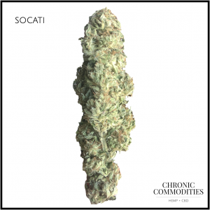 socati cbd hemp flower1